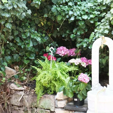 Appartamento Il Giardino Di Casa Vacanze Mono *