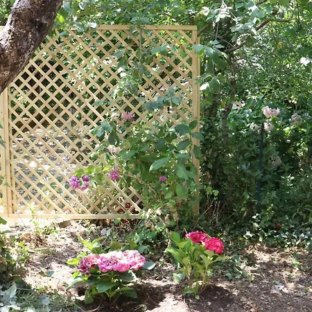 Il Giardino Di Casa Vacanze Mono Appartamento *