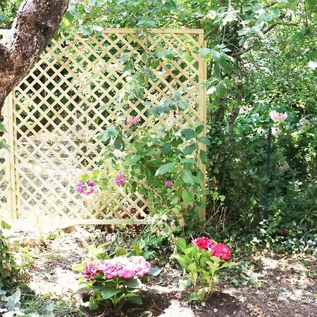 Appartamento Il Giardino Di Casa Vacanze Mono Aritzo